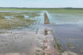 El Niño: más de 5 millones de hectáreas podrían quedar bajo el agua en Corrientes